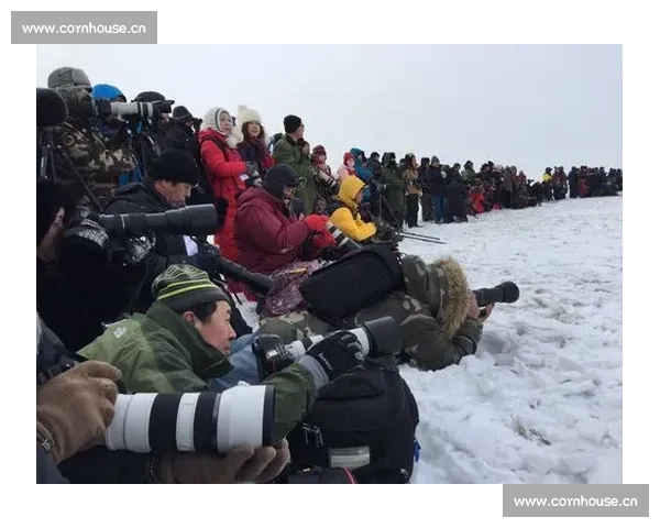 精彩易筋经六分钟比赛对决全程呈现身法内劲巅峰较量震撼瞬间盛况